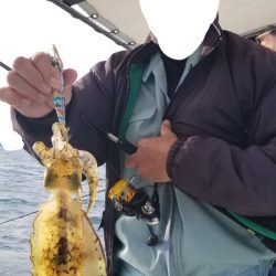 ソルトウォーターガイドフレンズ 釣果