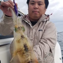 ソルトウォーターガイドフレンズ 釣果