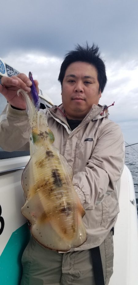 ソルトウォーターガイドフレンズ 釣果