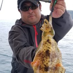 ソルトウォーターガイドフレンズ 釣果