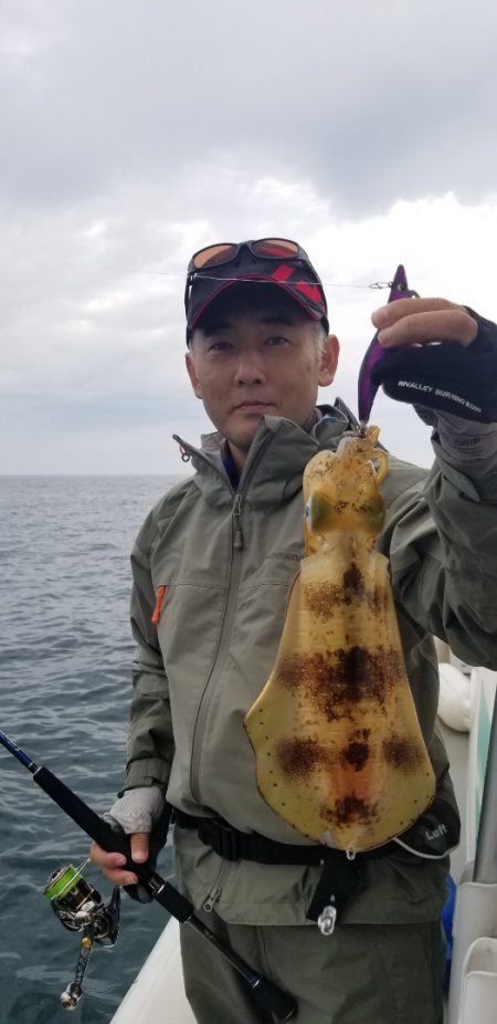 ソルトウォーターガイドフレンズ 釣果