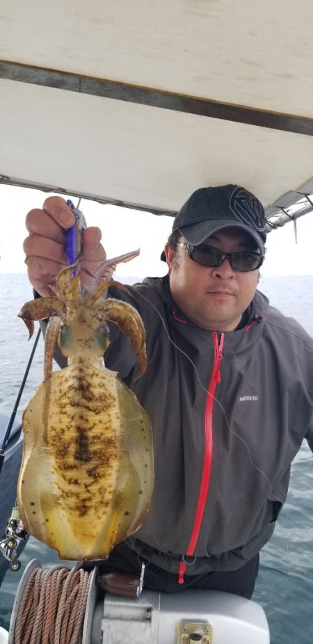 ソルトウォーターガイドフレンズ 釣果