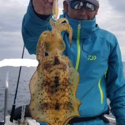 ソルトウォーターガイドフレンズ 釣果