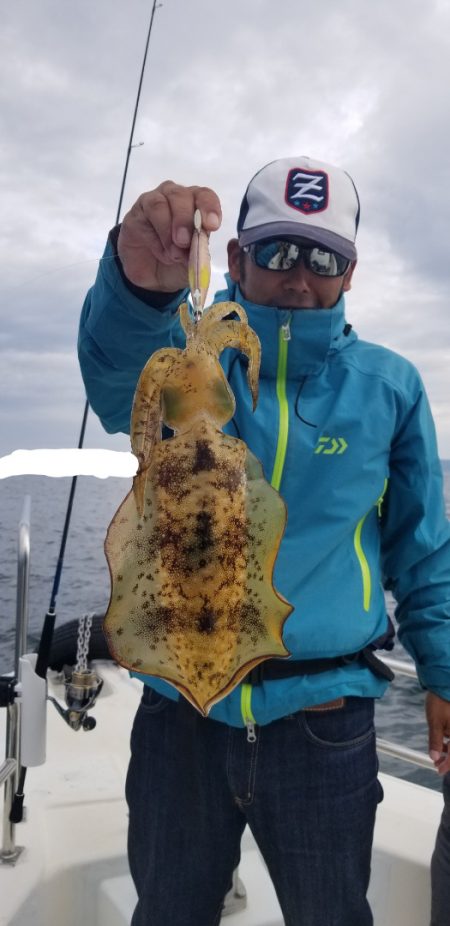 ソルトウォーターガイドフレンズ 釣果