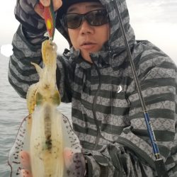 ソルトウォーターガイドフレンズ 釣果