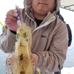 ソルトウォーターガイドフレンズ 釣果