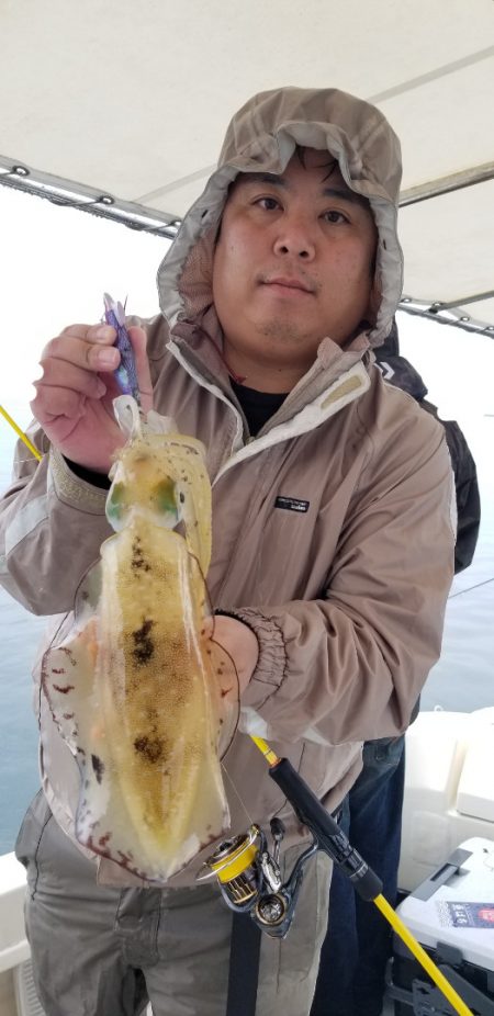 ソルトウォーターガイドフレンズ 釣果