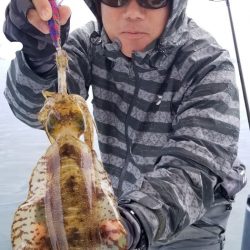 ソルトウォーターガイドフレンズ 釣果