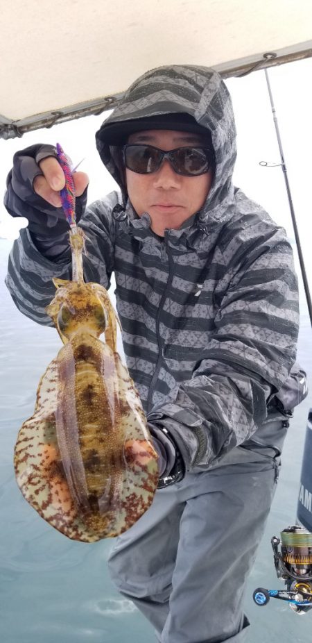 ソルトウォーターガイドフレンズ 釣果