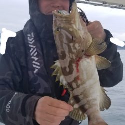 ソルトウォーターガイドフレンズ 釣果