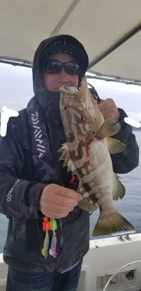 ソルトウォーターガイドフレンズ 釣果