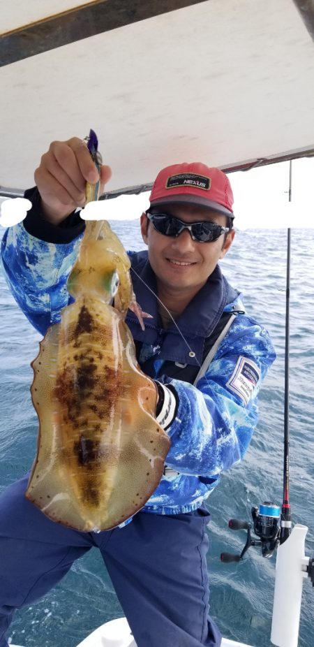 ソルトウォーターガイドフレンズ 釣果