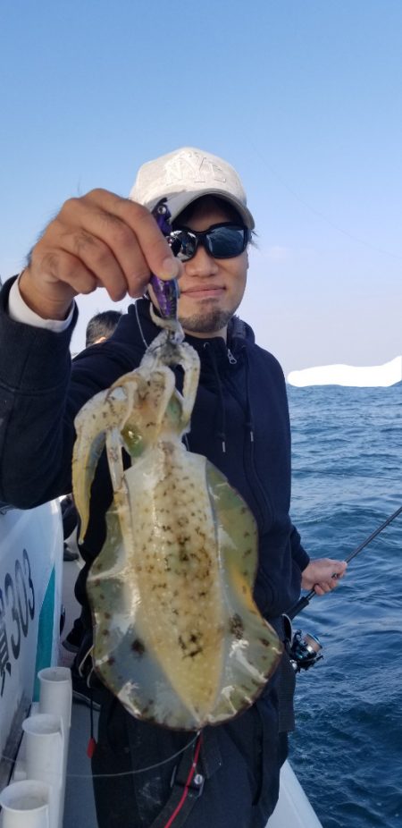 ソルトウォーターガイドフレンズ 釣果