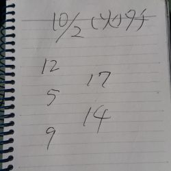 金沢八景鴨下丸 釣果