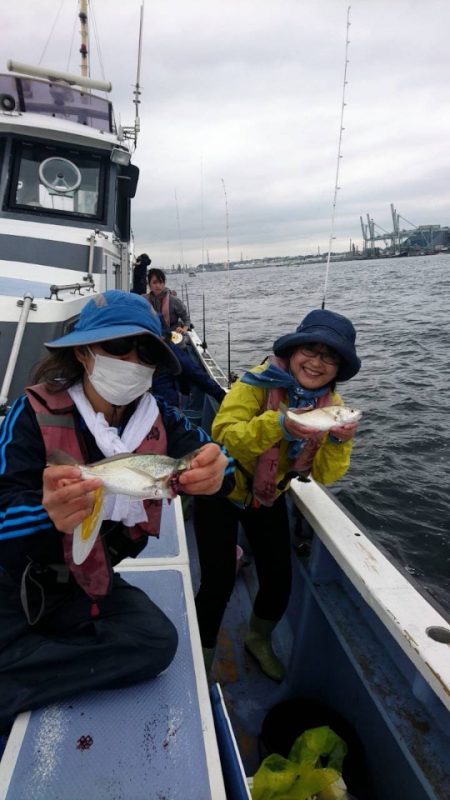 金沢八景鴨下丸 釣果