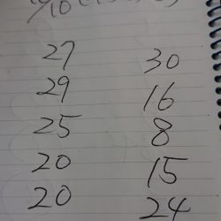 金沢八景鴨下丸 釣果