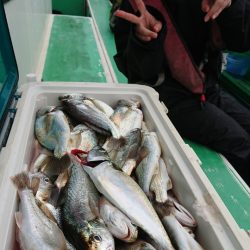 金沢八景鴨下丸 釣果