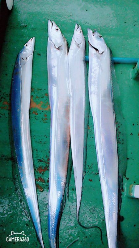 金沢八景鴨下丸 釣果