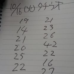 金沢八景鴨下丸 釣果