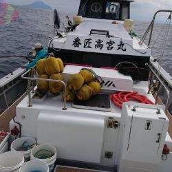 金沢八景鴨下丸 釣果