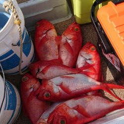 金沢八景鴨下丸 釣果