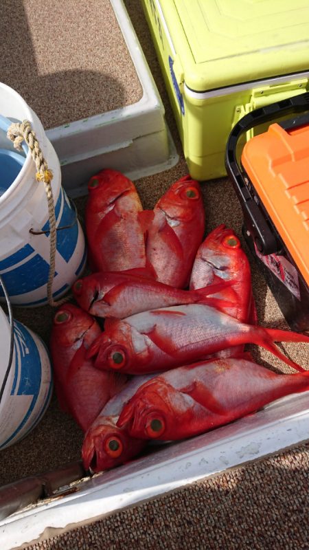 金沢八景鴨下丸 釣果