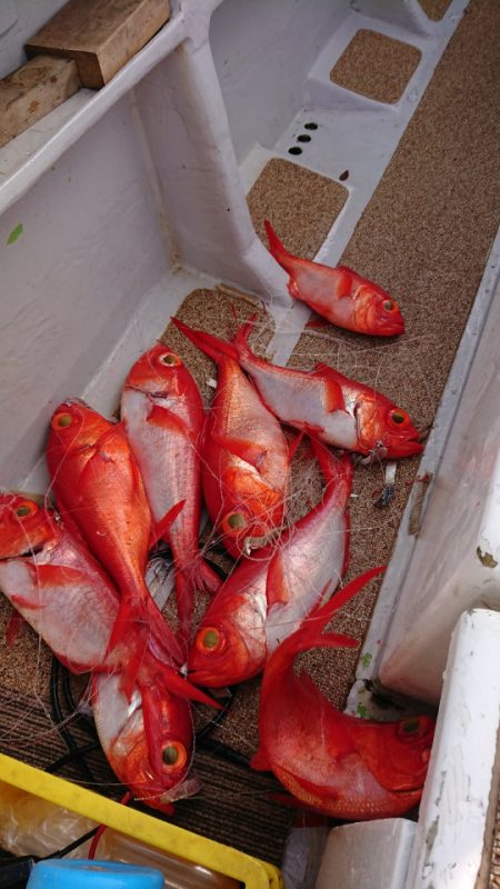 金沢八景鴨下丸 釣果