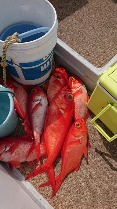 金沢八景鴨下丸 釣果