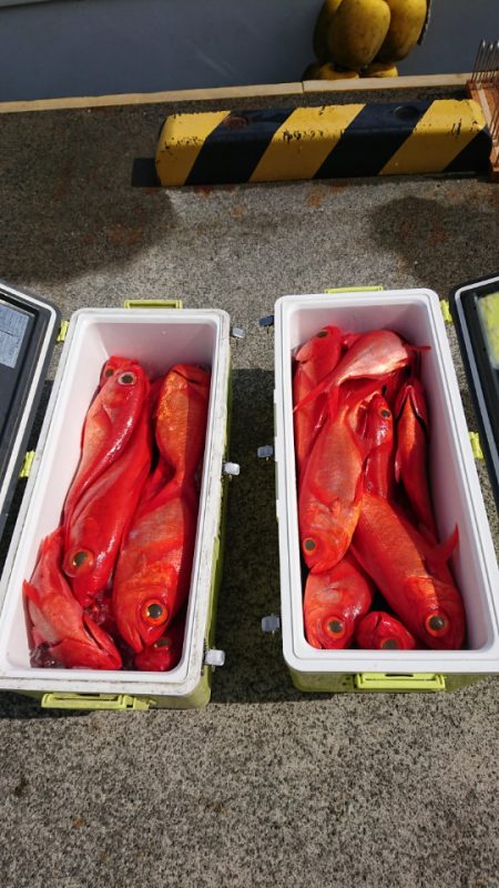 金沢八景鴨下丸 釣果