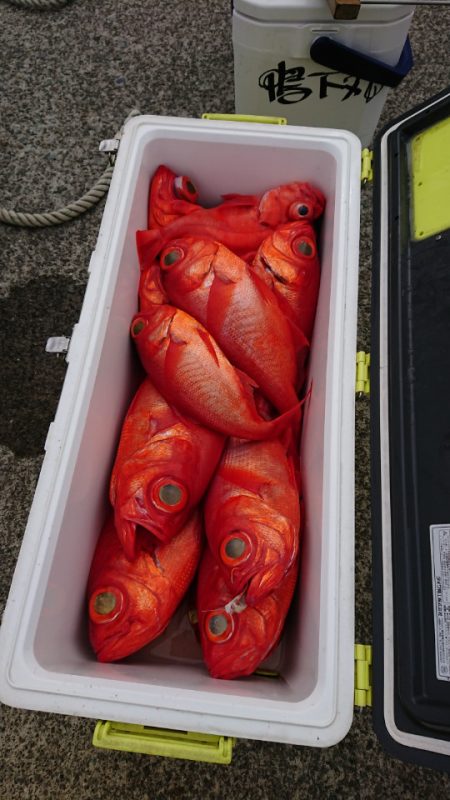 金沢八景鴨下丸 釣果