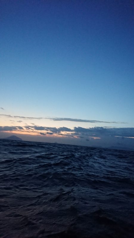 金沢八景鴨下丸 釣果