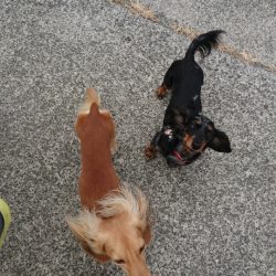 金沢八景鴨下丸 釣果