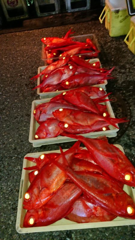 金沢八景鴨下丸 釣果