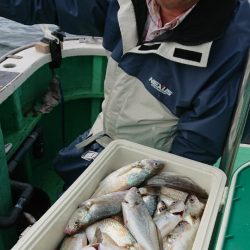 金沢八景鴨下丸 釣果