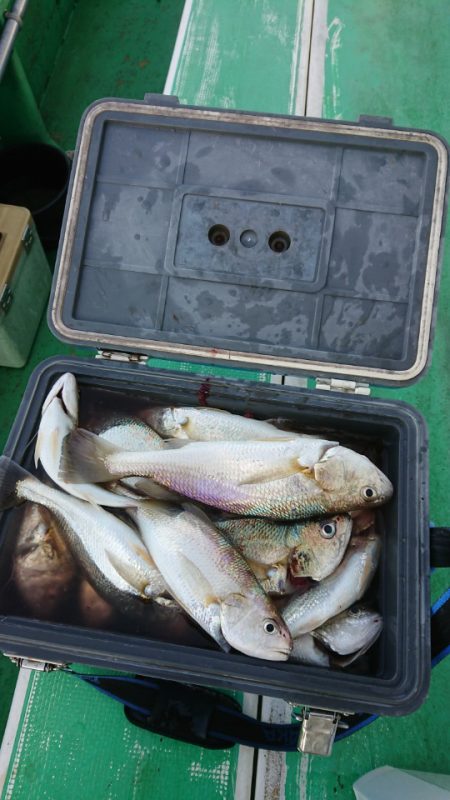 金沢八景鴨下丸 釣果