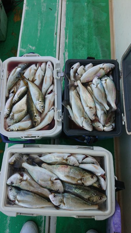 金沢八景鴨下丸 釣果