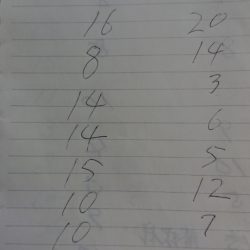 金沢八景鴨下丸 釣果