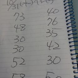 金沢八景鴨下丸 釣果