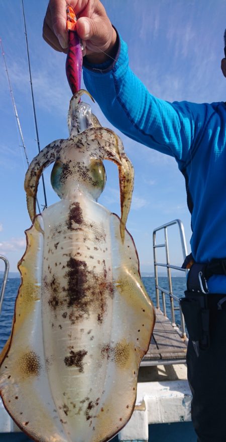 シースナイパー海龍 釣果
