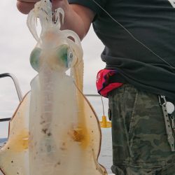 シースナイパー海龍 釣果