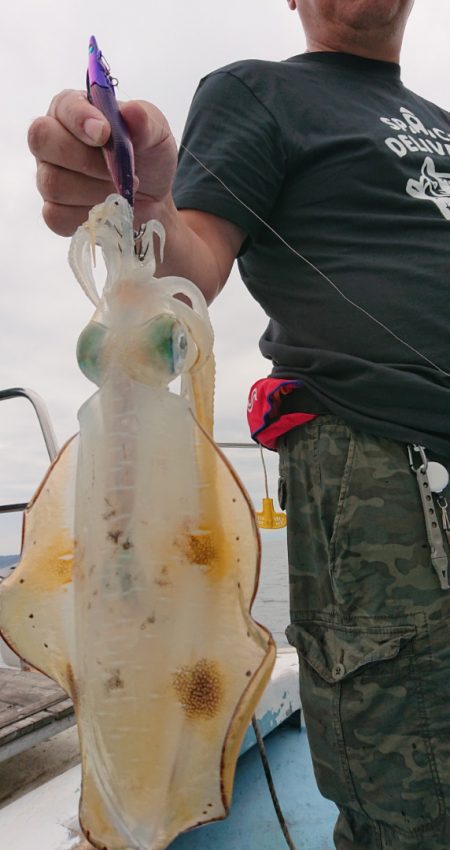 シースナイパー海龍 釣果