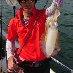 遊漁船メテオ 釣果