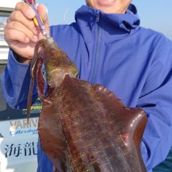 シースナイパー海龍 釣果