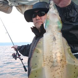 シースナイパー海龍 釣果