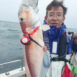 ARCADIAⅡ (アルカディアⅡ) 釣果