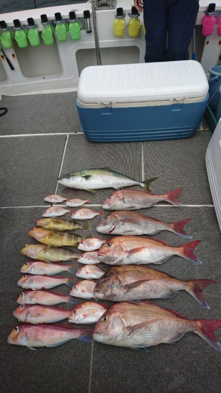 ARCADIAⅡ (アルカディアⅡ) 釣果