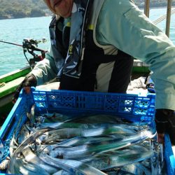 小島丸 釣果