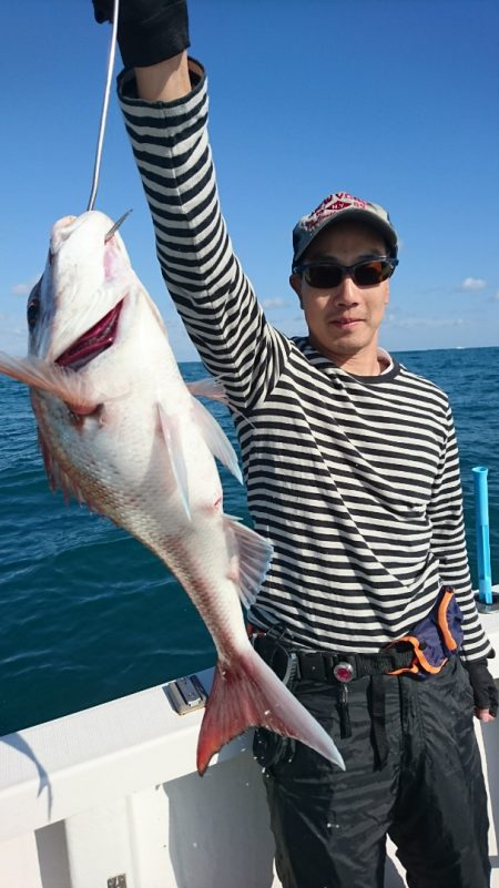 ARCADIAⅡ (アルカディアⅡ) 釣果