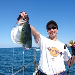 ARCADIAⅡ (アルカディアⅡ) 釣果