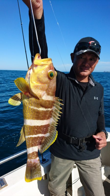 ARCADIAⅡ (アルカディアⅡ) 釣果